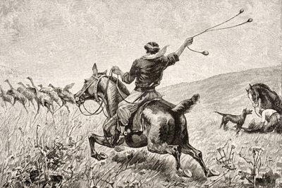 Throwing the Bolas by English School